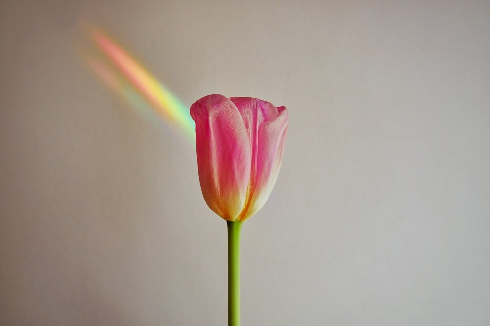 Фотография автора Zuzi Janek