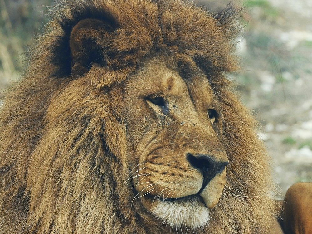 Photograph by Олег Башкуров