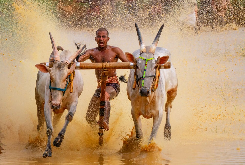 Photograph by k Ravi Reju