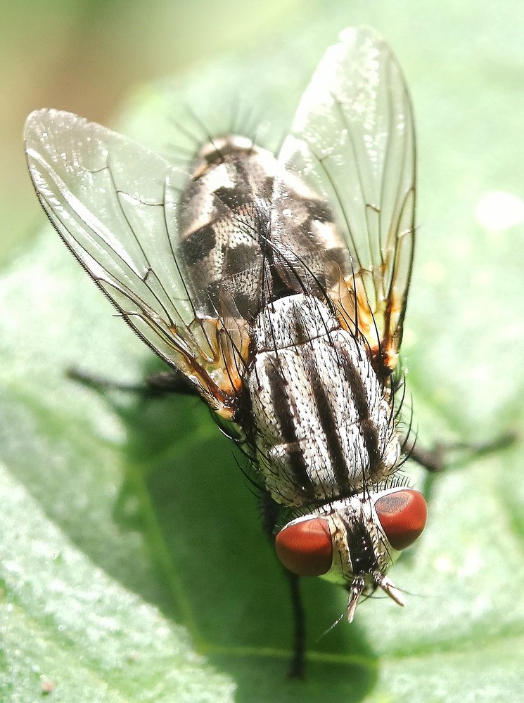 Photograph by Nimantha priyamal