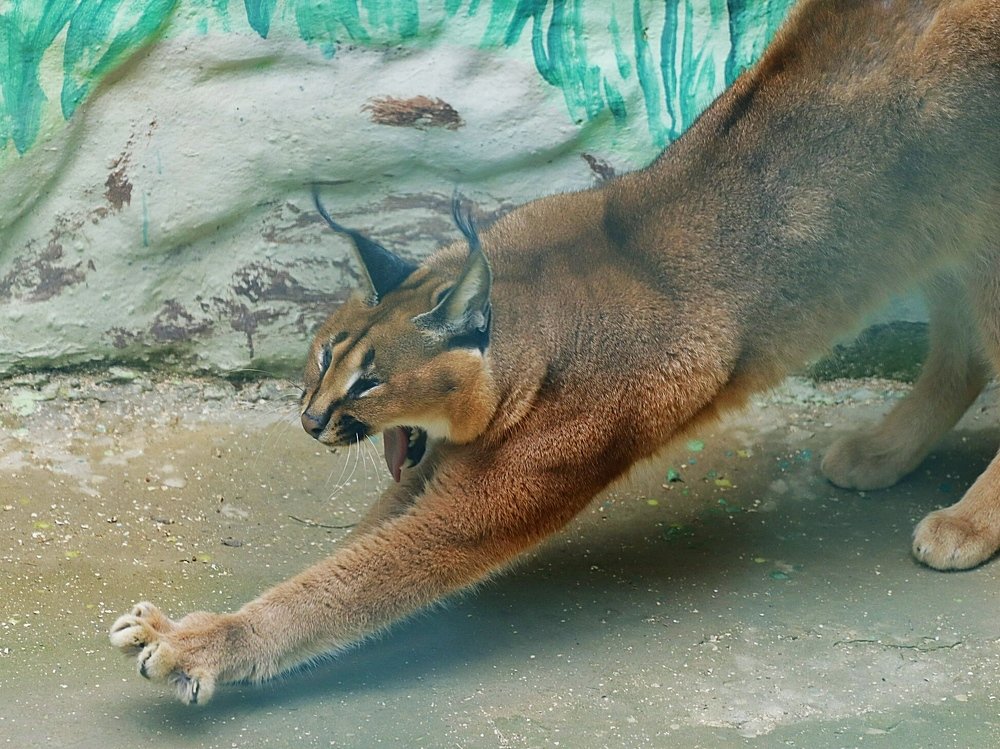 Photograph by Олег Башкуров