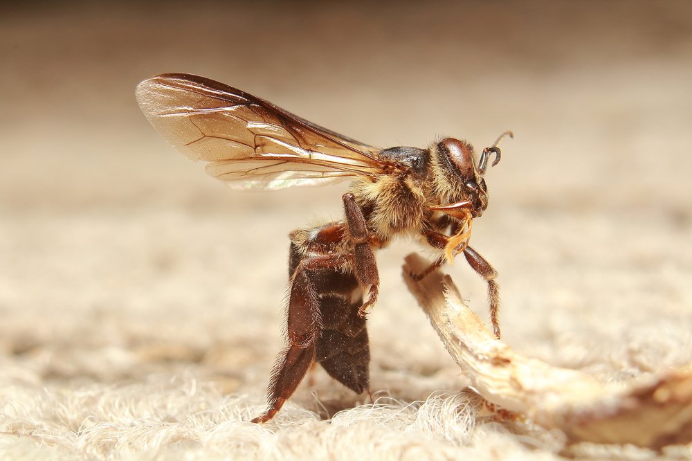 Photograph by Yusuf Buchari