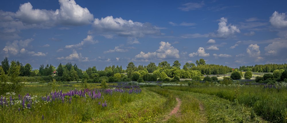 Через поле...
