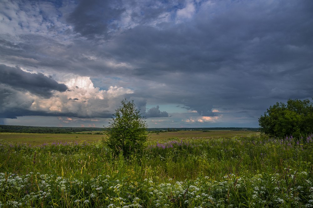 Зарисовка в пути