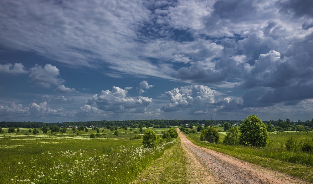 По просёлку...
