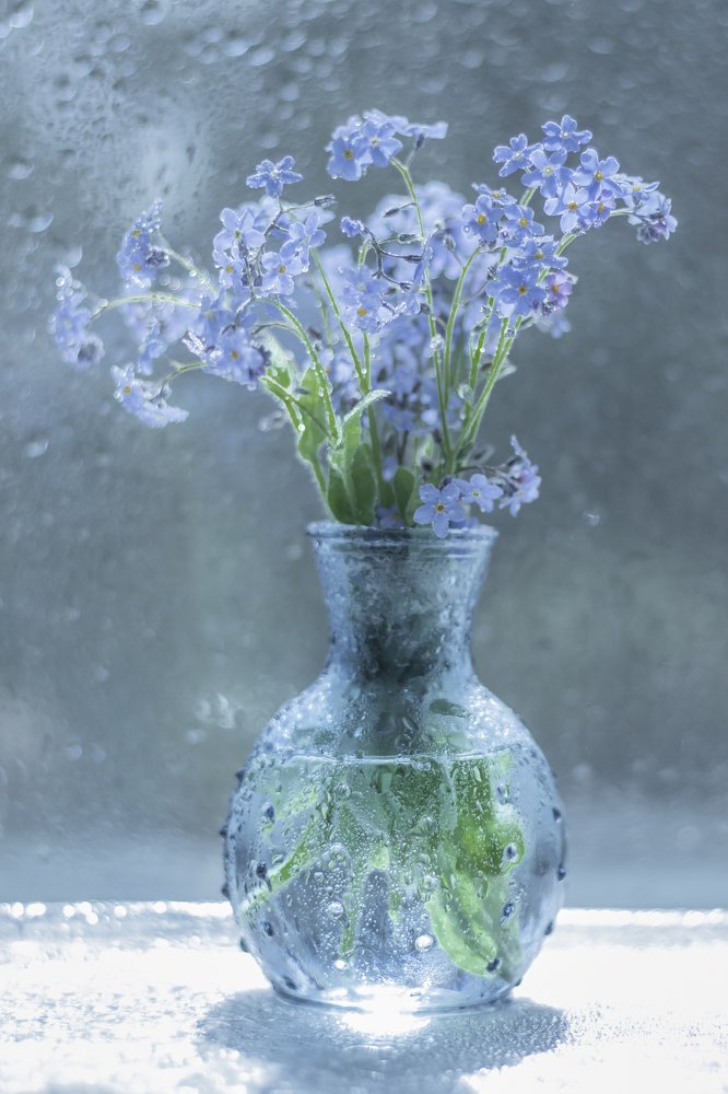 Фотография автора Ольга Никанович