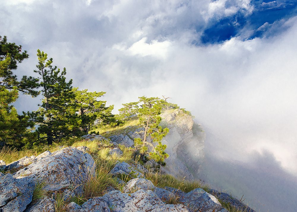 Photograph by Татьяна Никитина