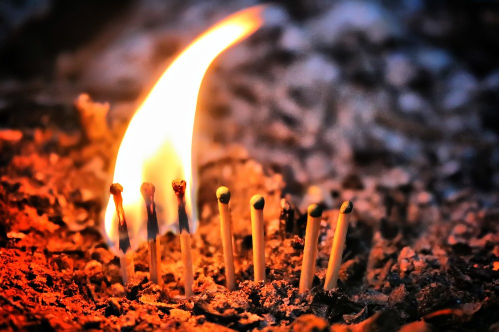 Фотография автора Анастасия Пищулова