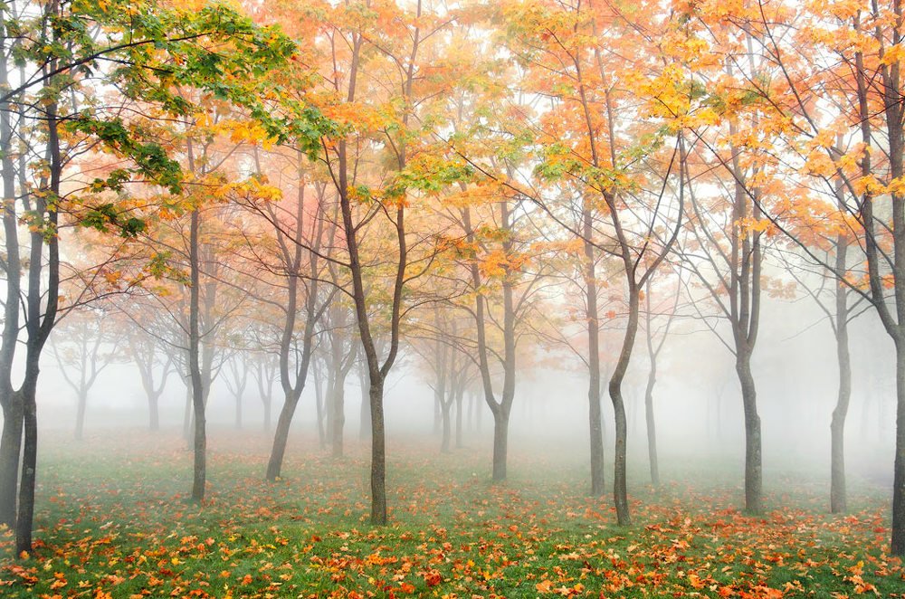 Photograph by Людмила Сиденко