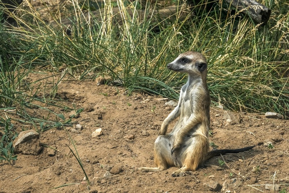 Photograph by Вячеслав Камышев