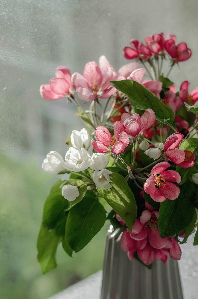 Photograph by Аликина Татьяна