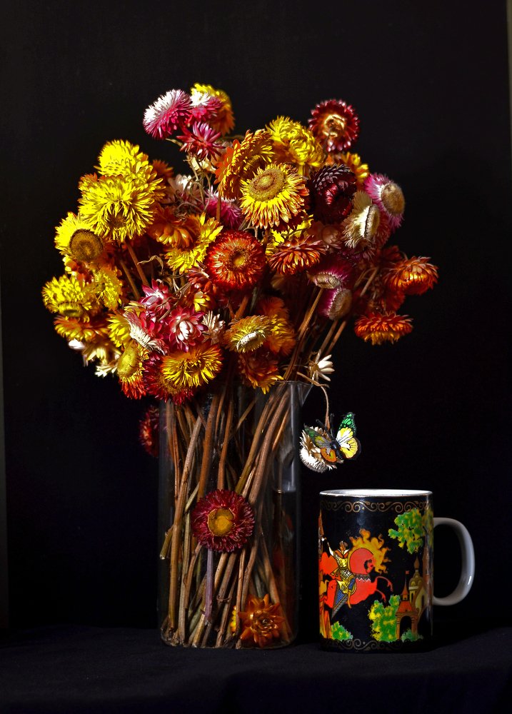 Фотография автора Антип