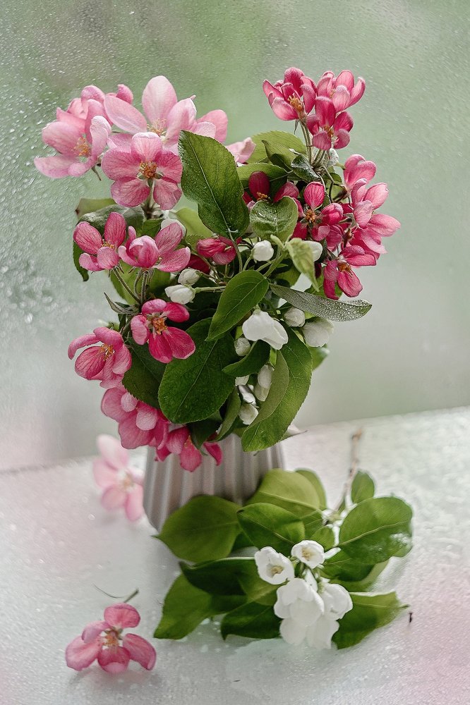 Photograph by Аликина Татьяна