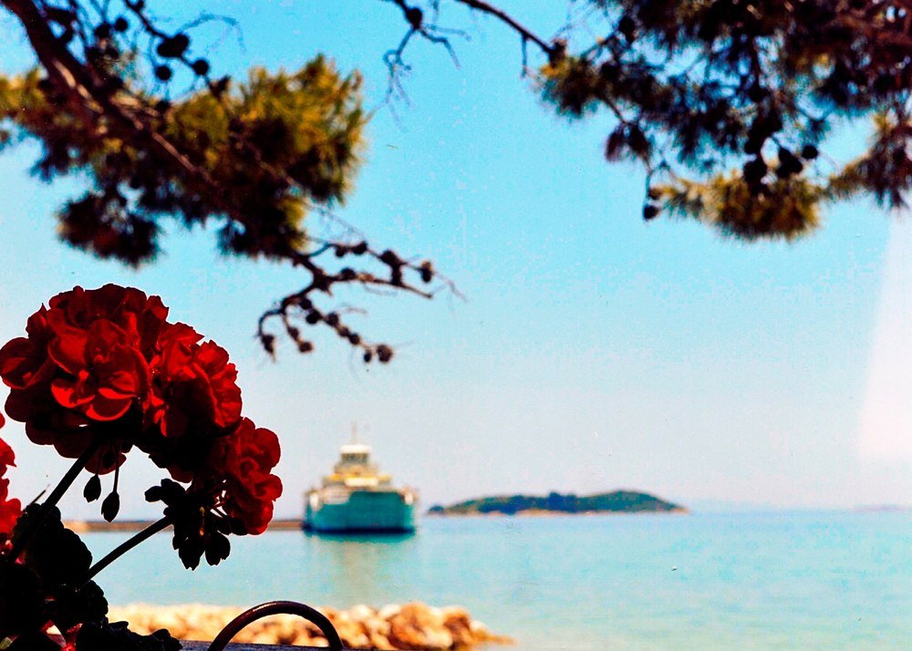 Photograph by Мхитарян Карен