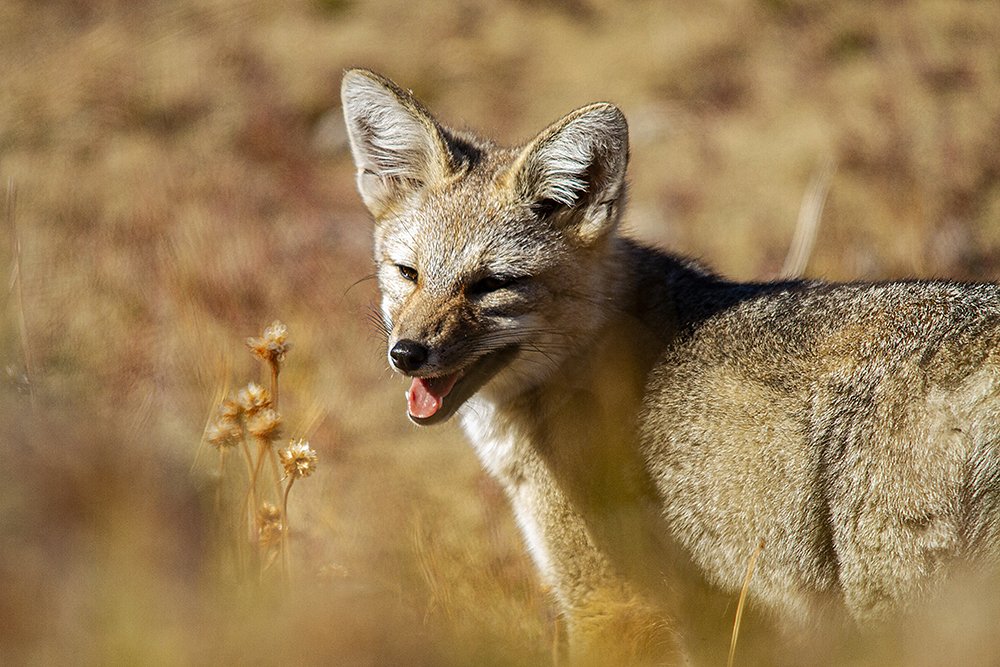 Фотография автора Ricardo Q T Rodrigues