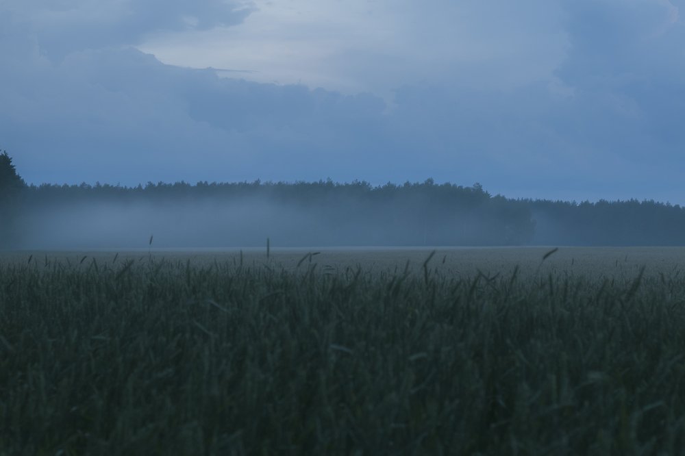 Фотография автора Ольга Никанович