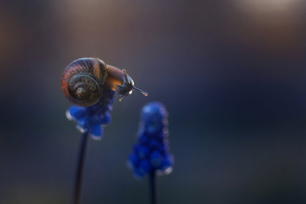 Photograph by Алина Евсеева