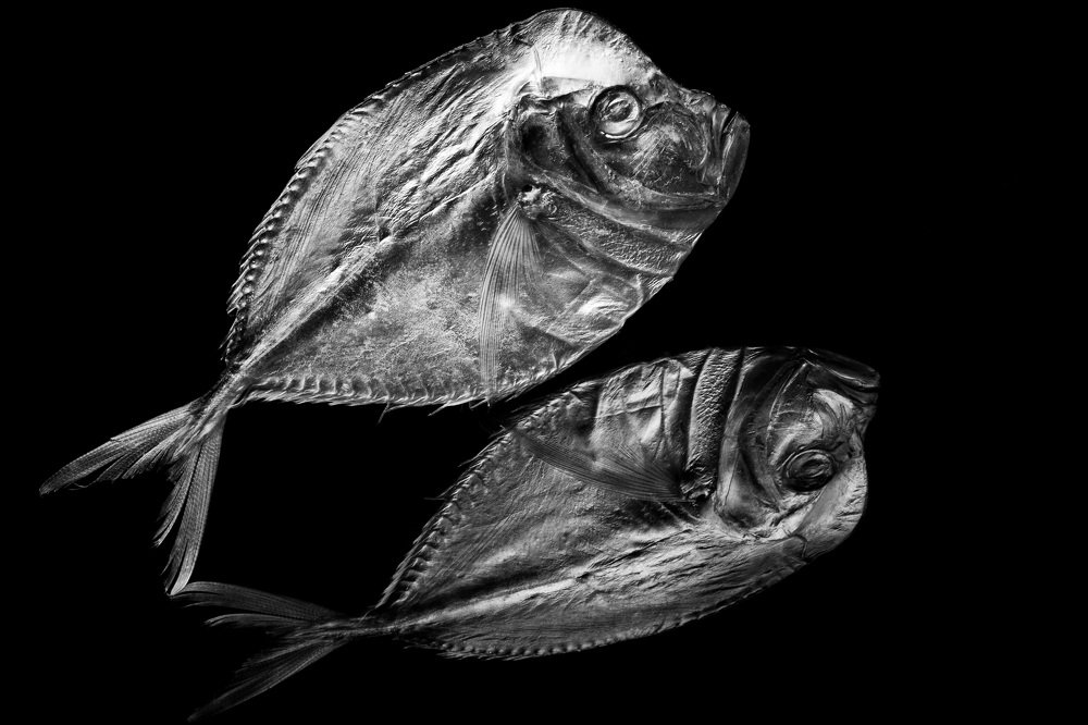 Photograph by Светлана Сафина