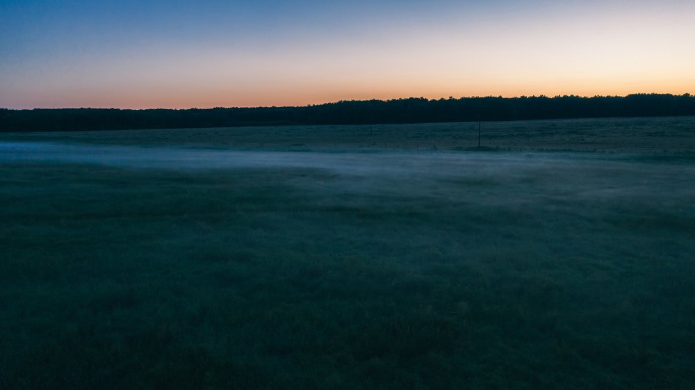 Photograph by Паша Савельев