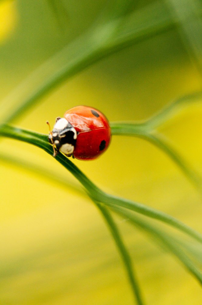 Photograph by Alena Rybakova