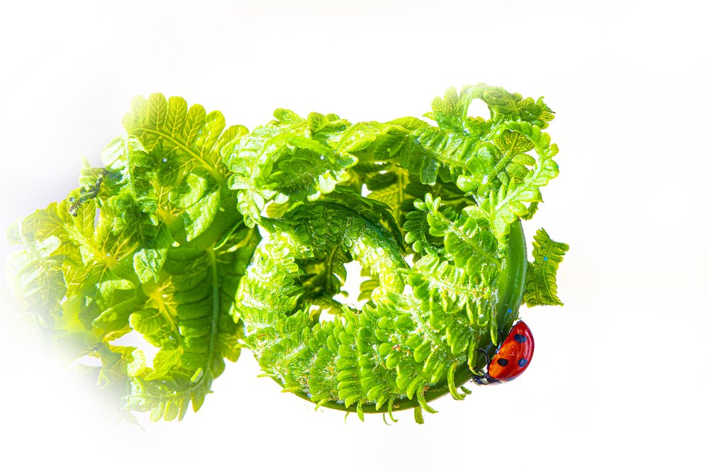 Photograph by Наталья Санталова