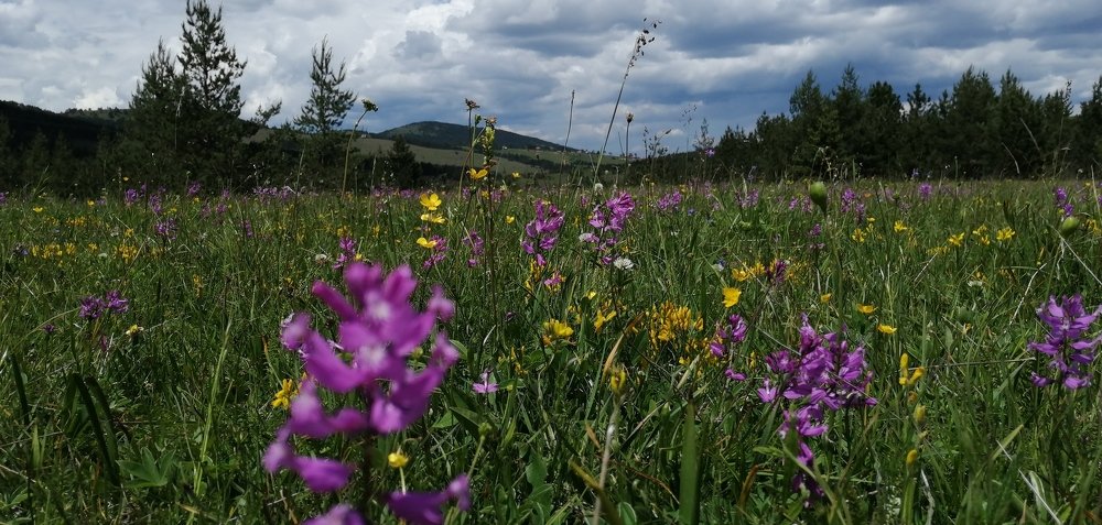 Photograph by Vladimir