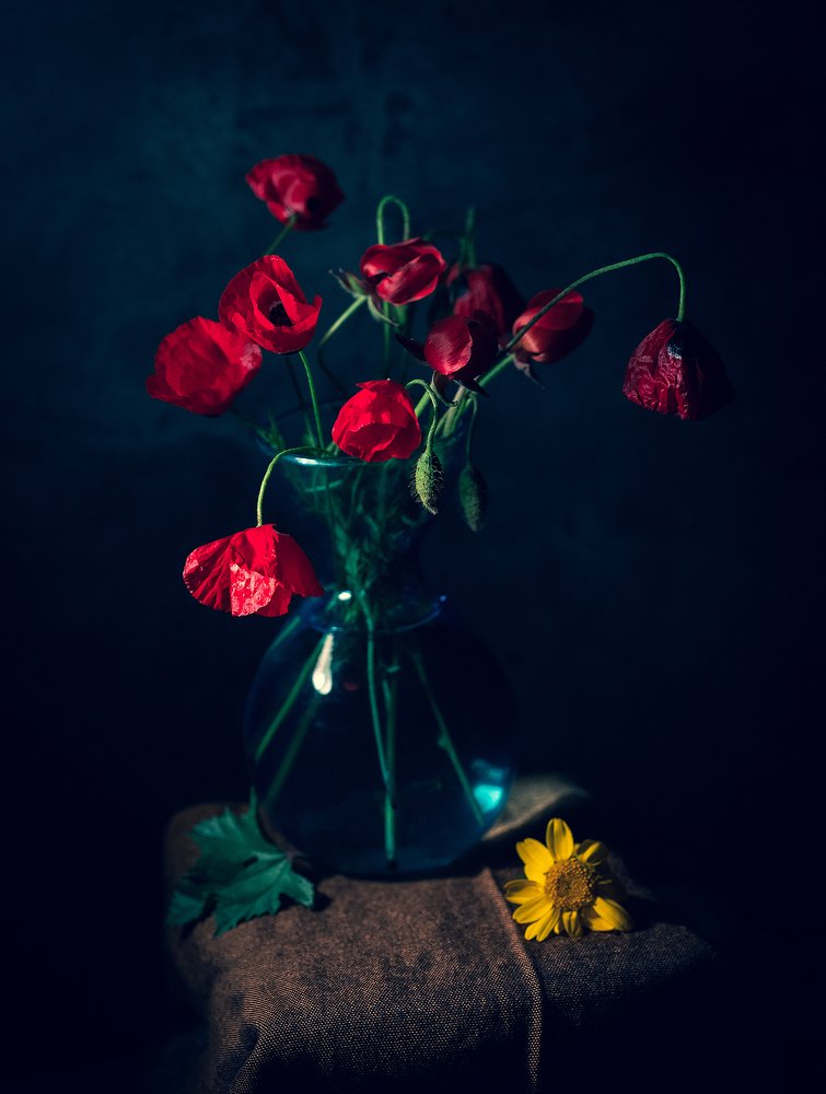 Фотография автора Инна Меркиш