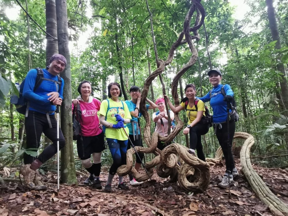 Photograph by Chunhou Poon