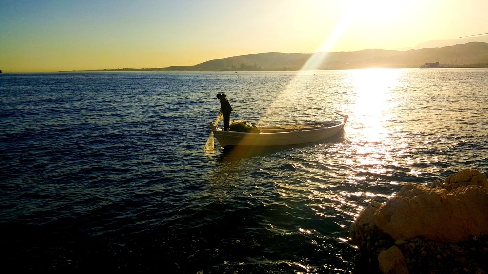 Photo #4766595