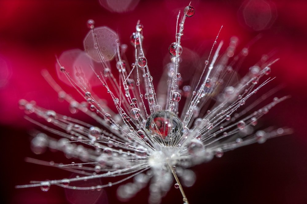 Фотография автора Dolli Pogrebnaya