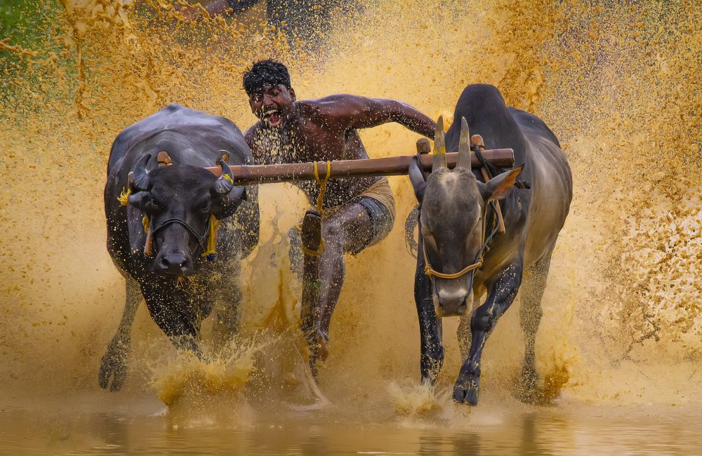 Photograph by k Ravi Reju