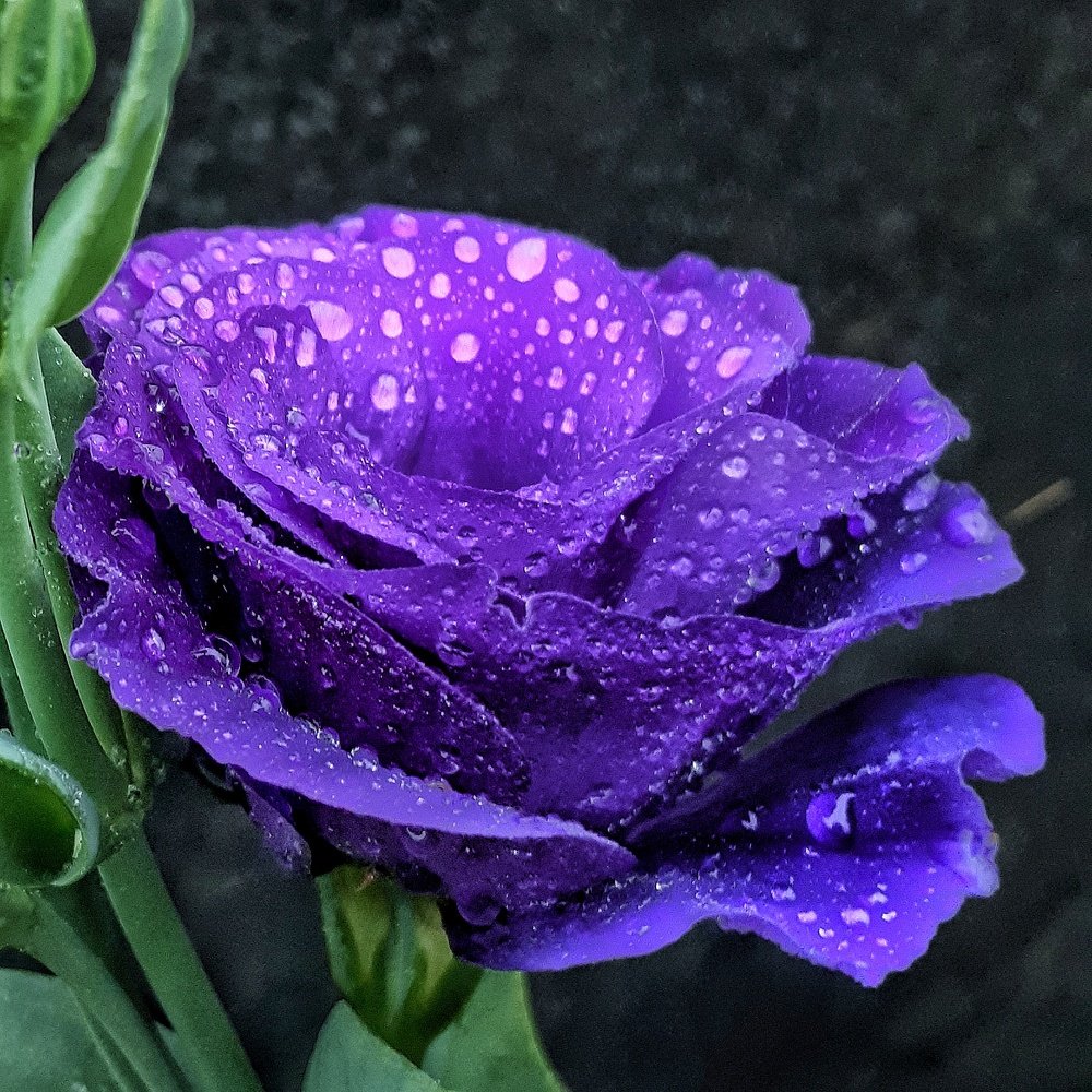 Photograph by Пётр Селетков