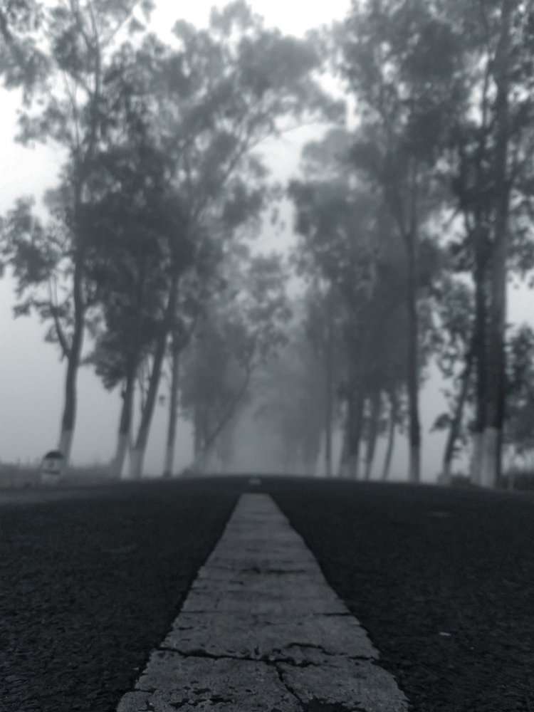 Photo #4767001