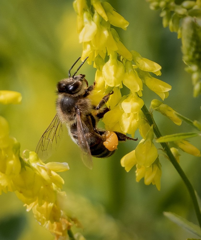 Photograph by Евгений Михеев