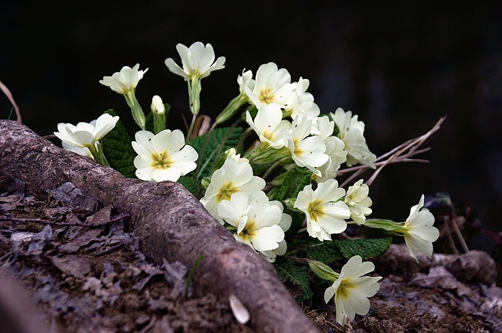 Photograph by Александр