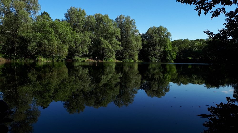 Фотография автора Галина