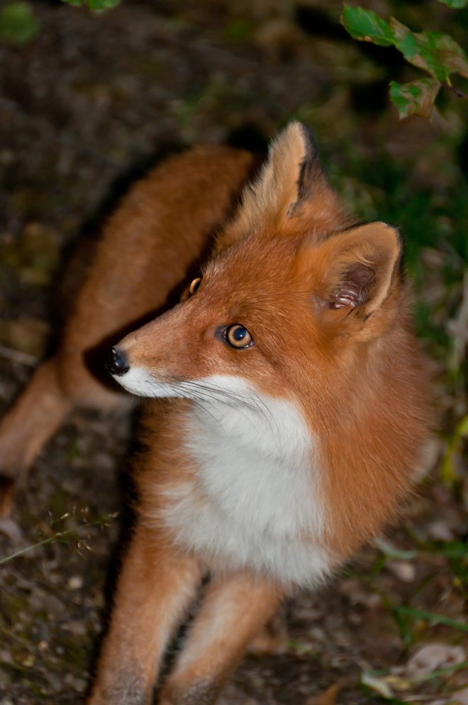 Photograph by Михаил Агульник