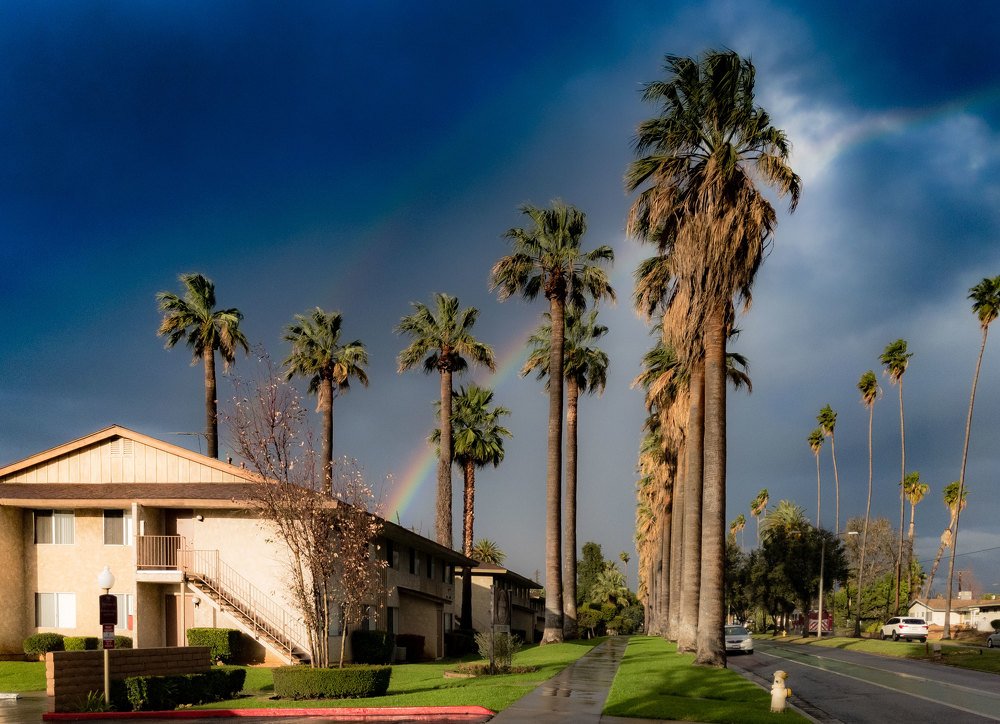 Photograph by Olga Serebryannaya