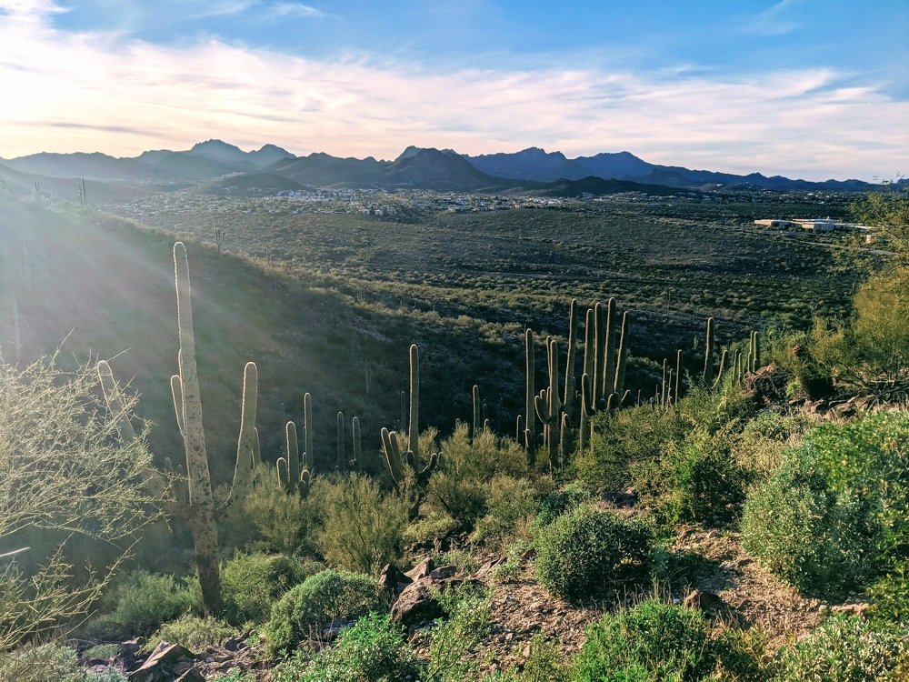 Photograph by Olga Serebryannaya