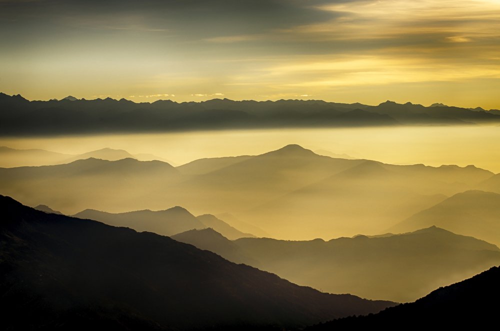 THE MOUNTAINS IN THE FOG