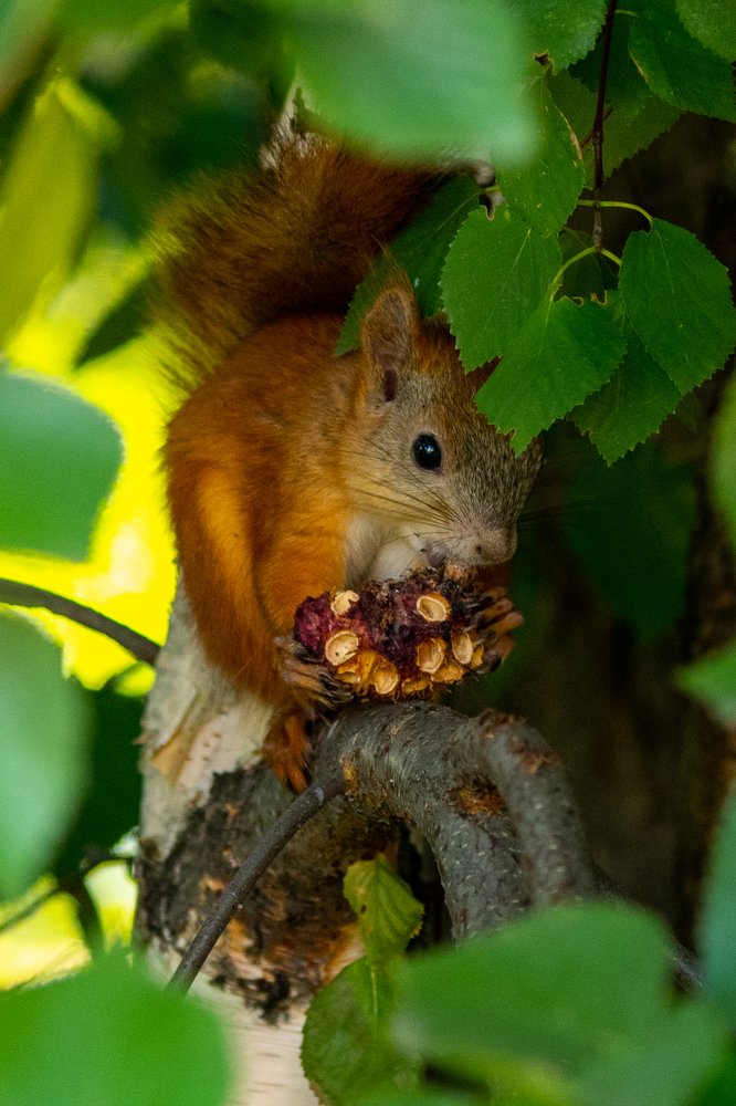 Photograph by Alexey Tsarkov