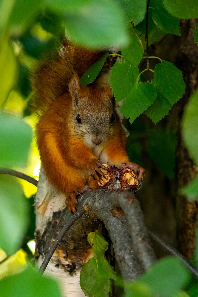 Photograph by Alexey Tsarkov