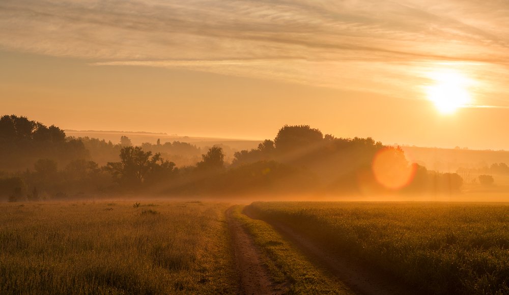 Photograph by Алексей Юденков