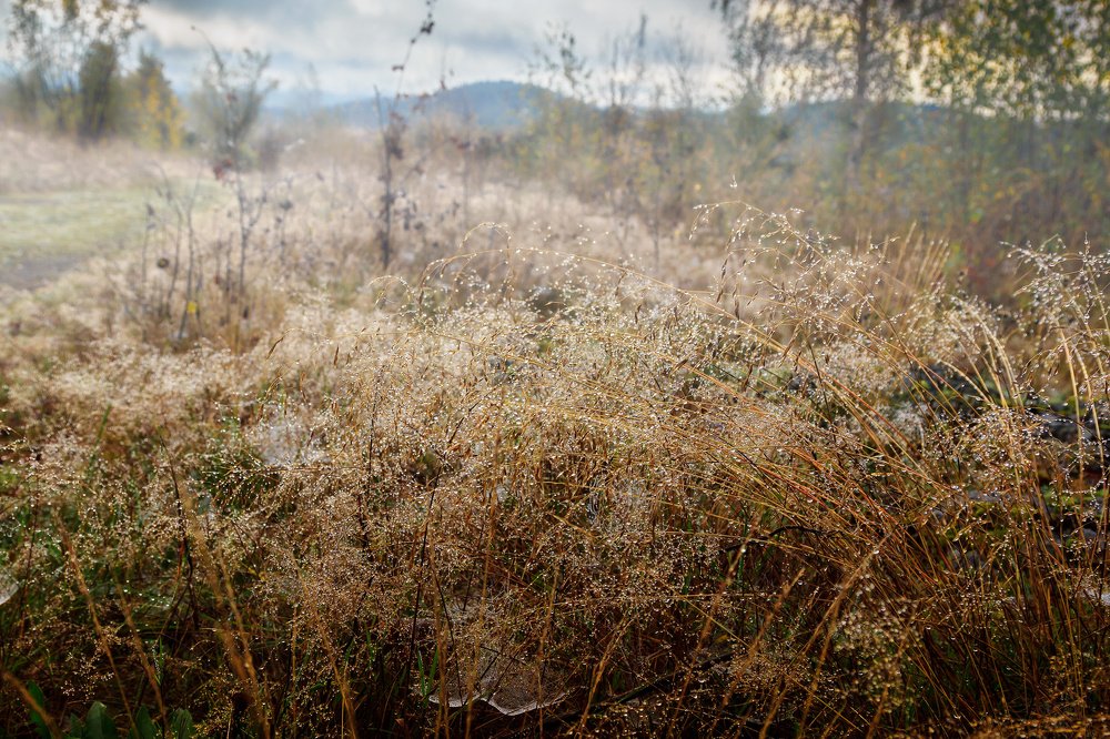 Photograph by Konstantin Krouz