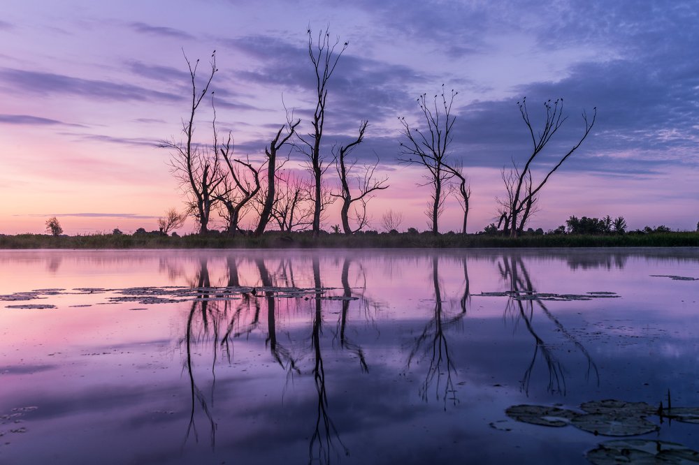 Photograph by Sławomir Sot