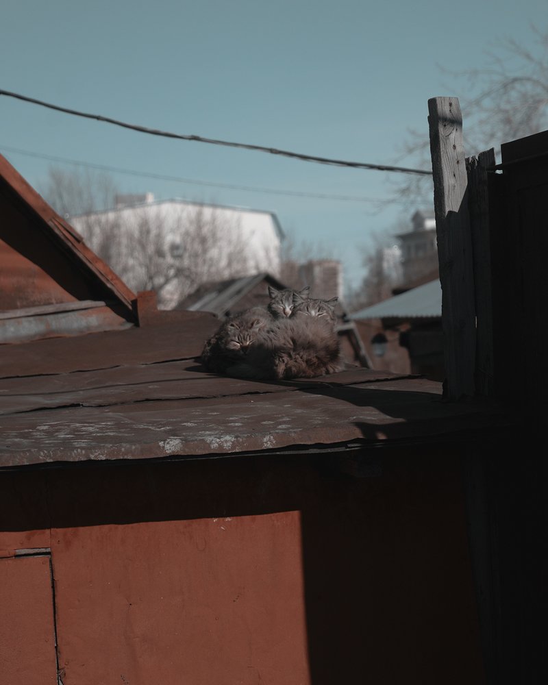 Photograph by Константин Ефремов