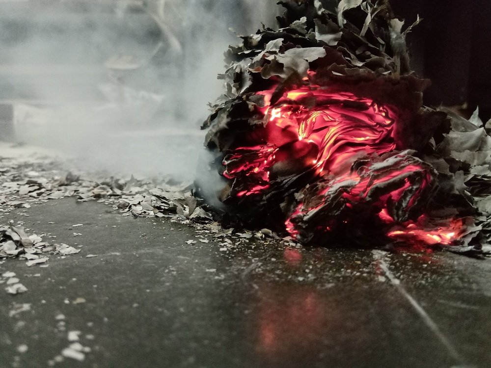 Photograph by Prashant Vishwakarma