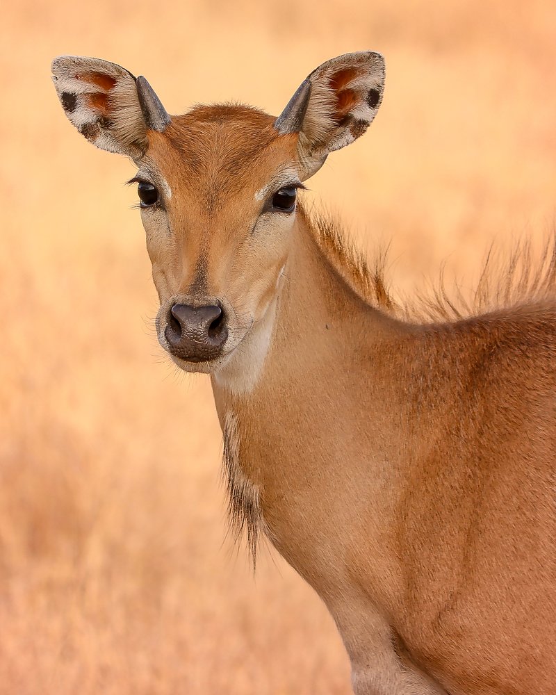 Photograph by Dhruv Prajapati