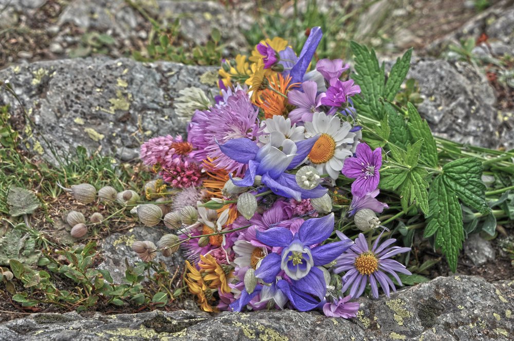 Photograph by Алексей Черкашин