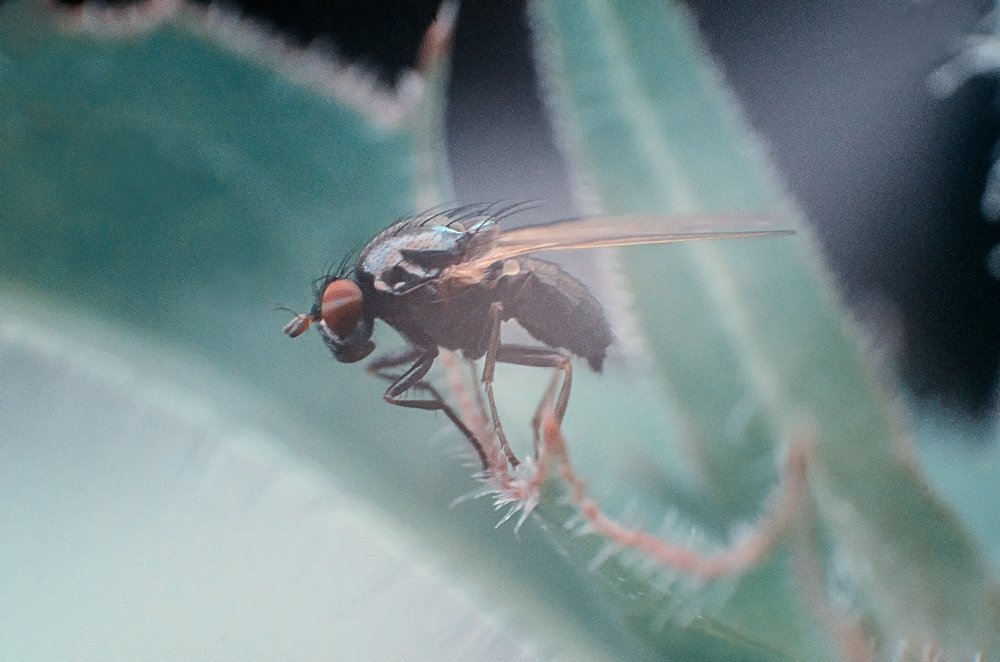 Photograph by маргиз Сафаров